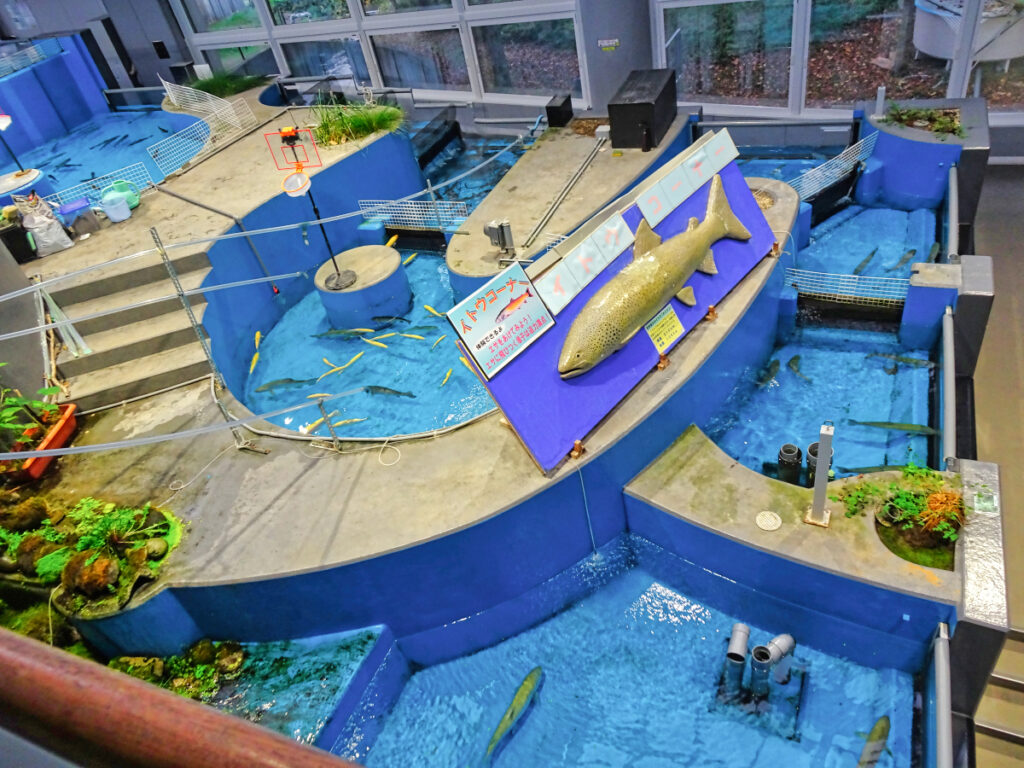 標津サーモン科学館 北海道