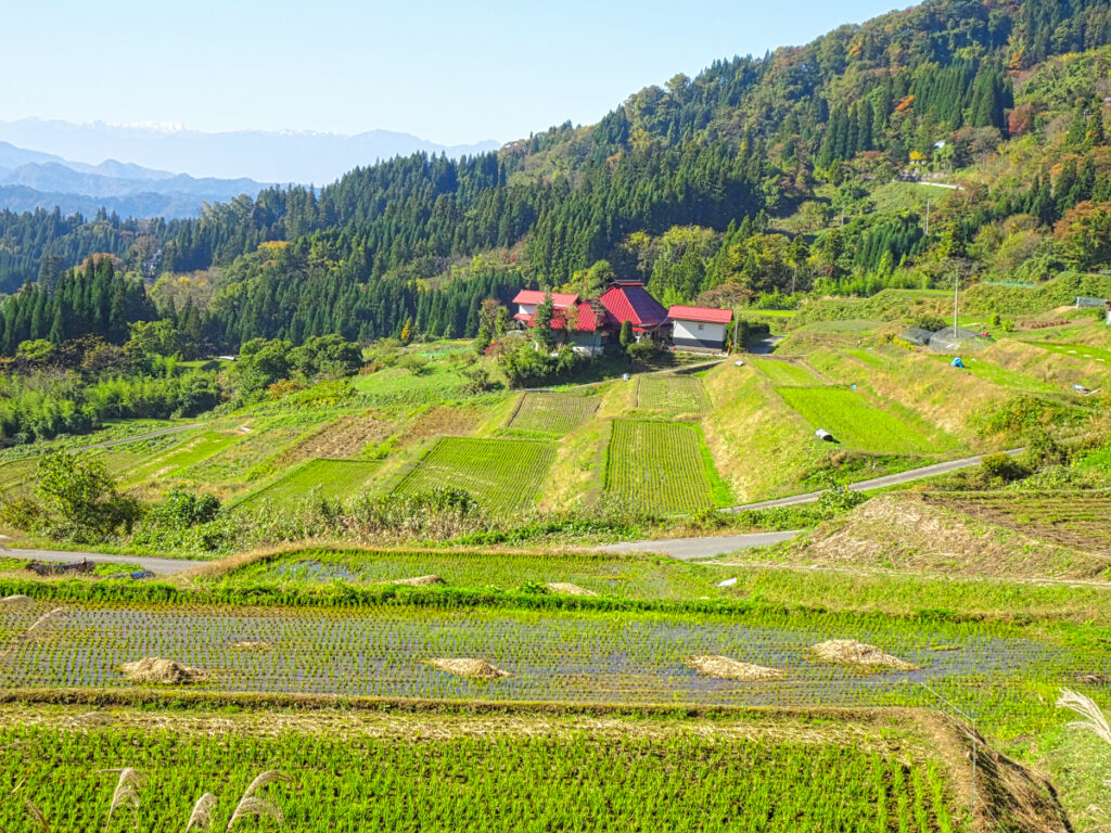 栃倉の棚田 長野県