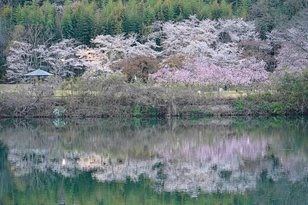 水源公園 愛知県