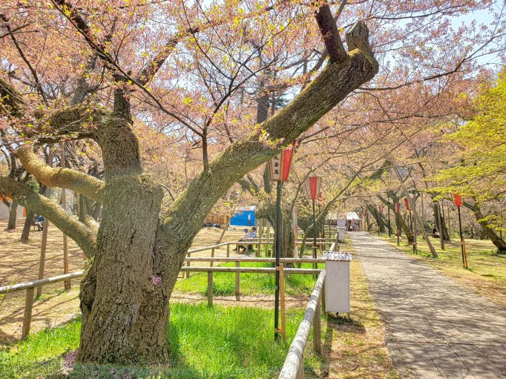 高遠城跡 長野県
