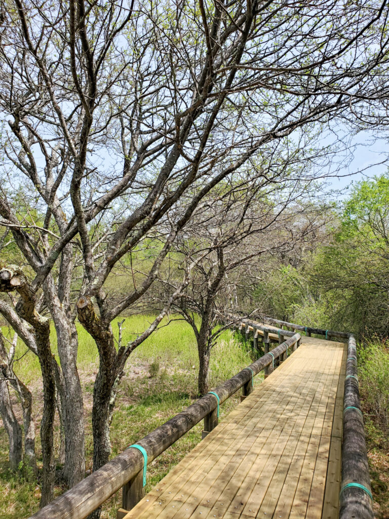 戦場ヶ原展望台（三本松） 栃木県
