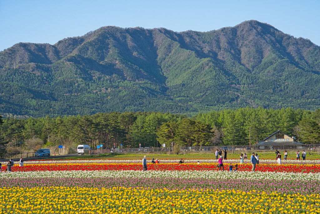 花の都公園 山梨県