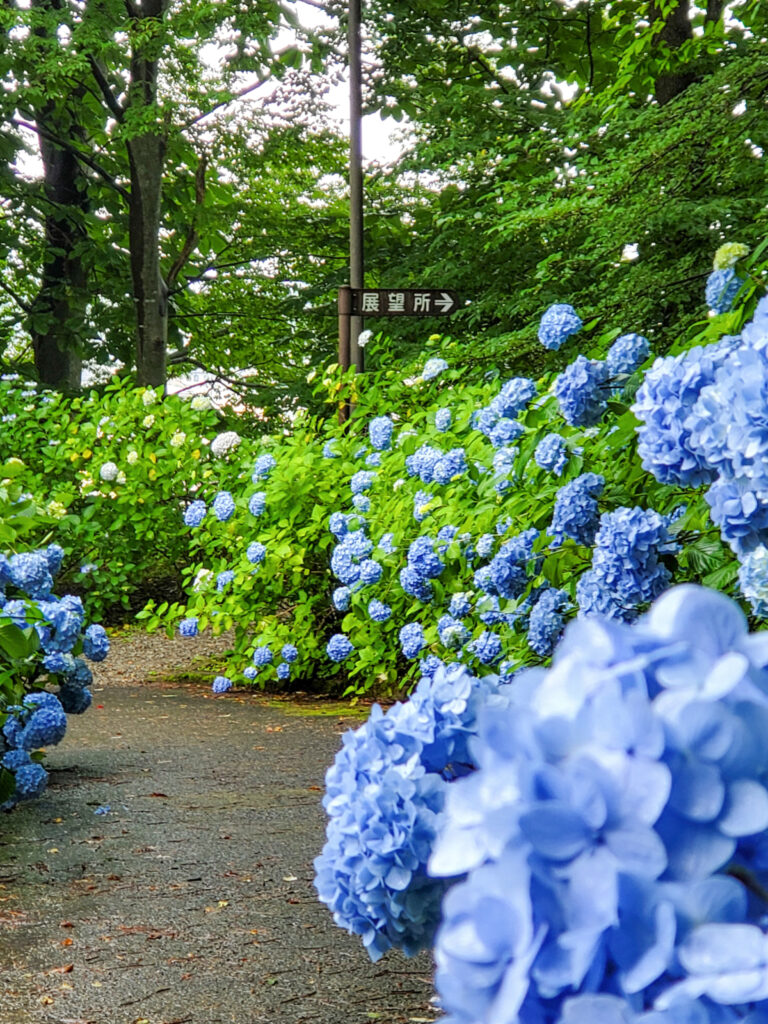 土合舘公園 福島県