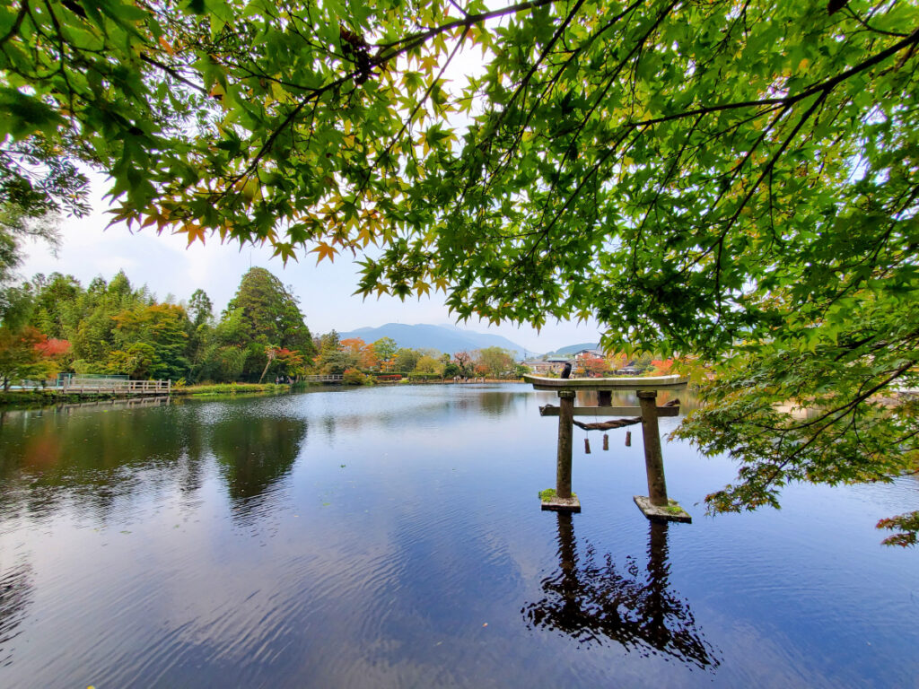 金鱗湖 水上鳥居(天祖神社) 大分県