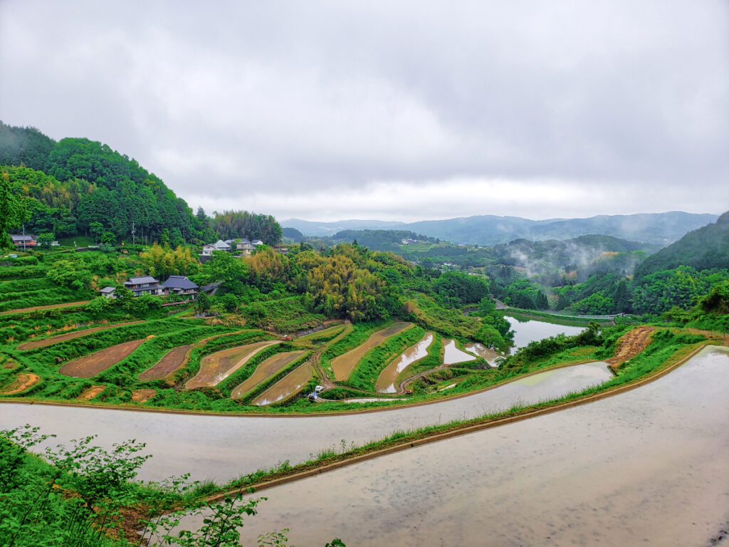 北庄の棚田