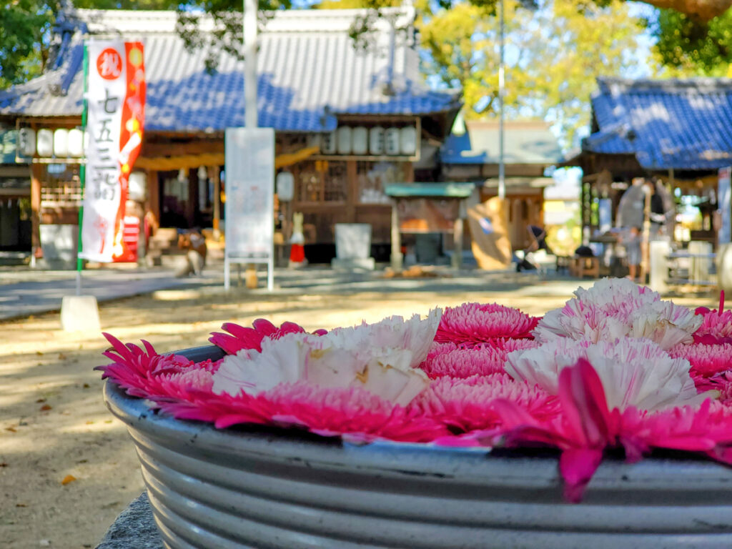 高忍日賣神社 愛媛県