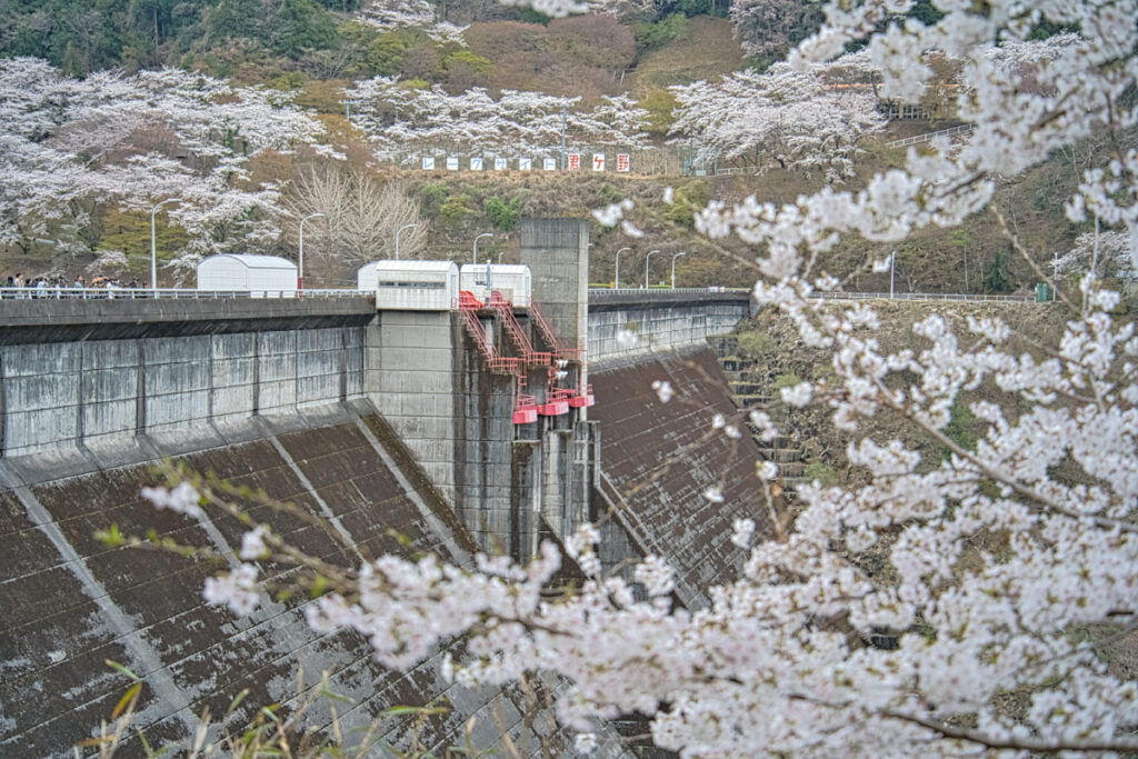 君ヶ野ダム 三重県
