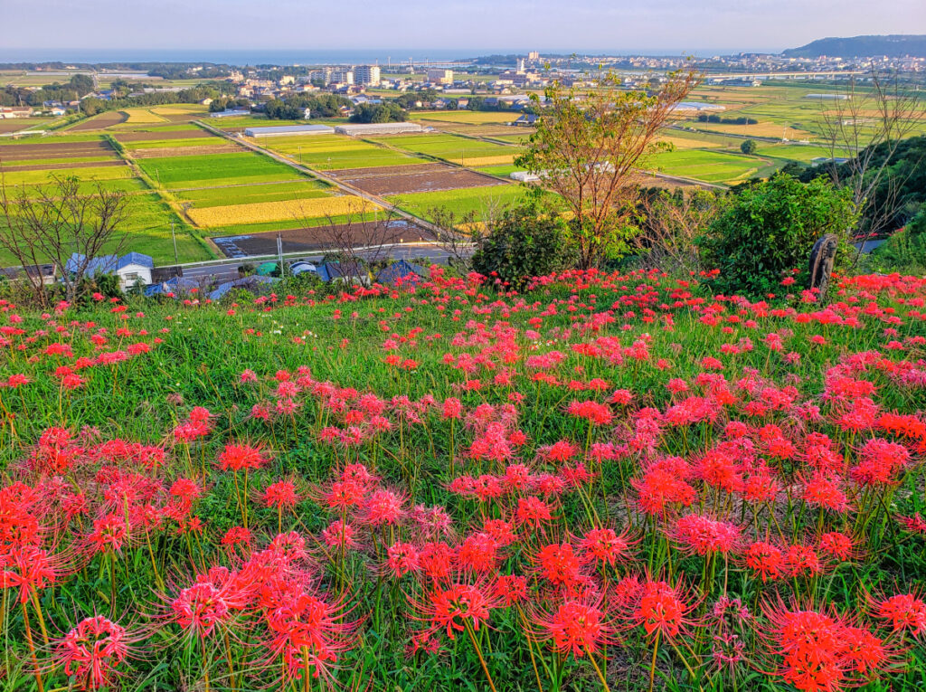 高鍋大師 宮崎県