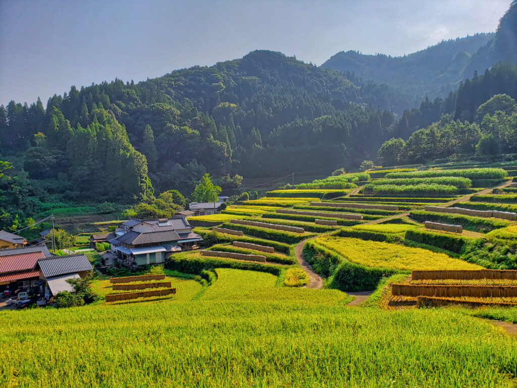山浦早水の棚田 大分県