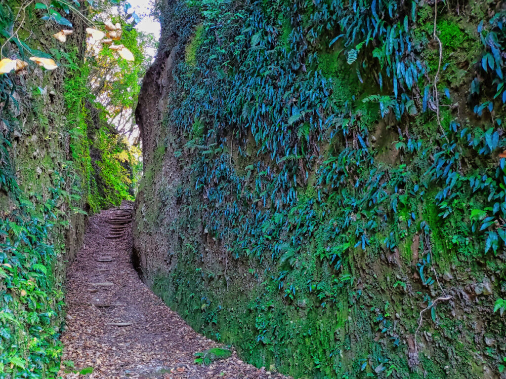 清色城跡の堀切 鹿児島県