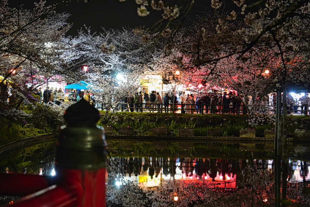 偕楽公園・桜 三重県