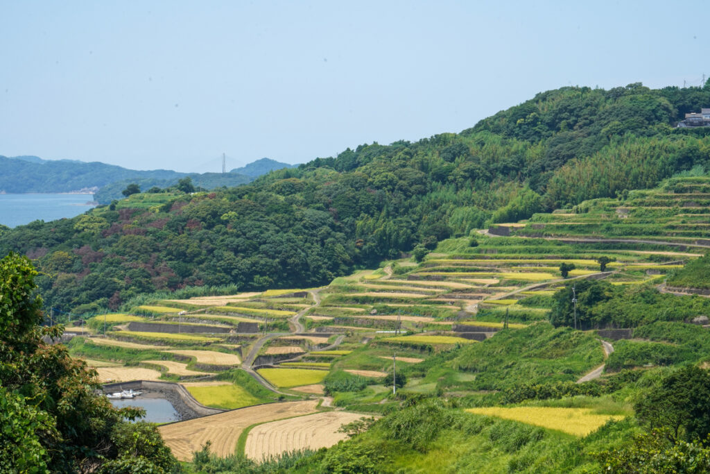 土谷棚田 佐賀県