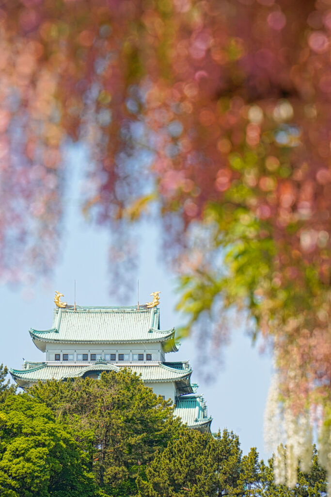 名古屋城 愛知県