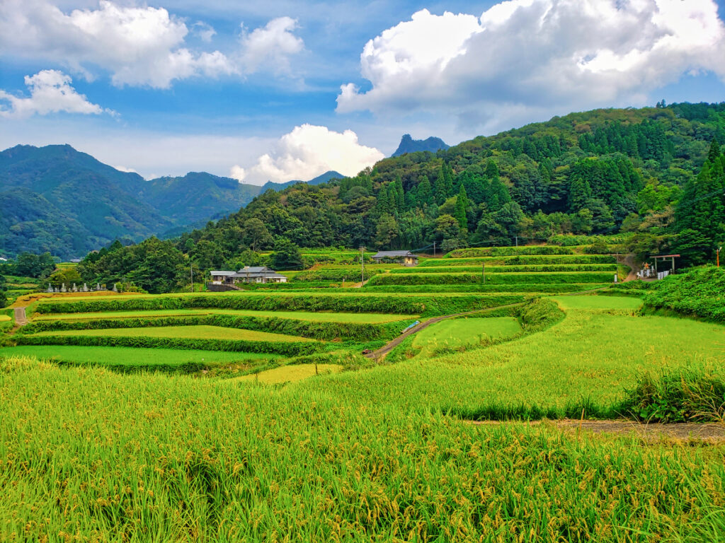 尾戸の口棚田 宮崎県