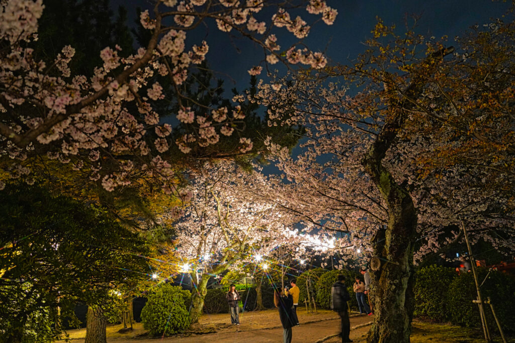 九華公園 愛知県