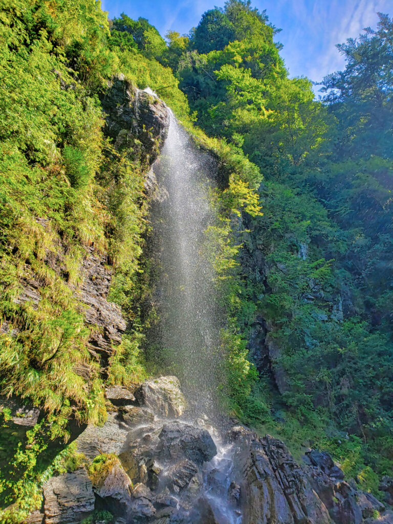 程野の滝・西滝(程野の西滝) 高知県
