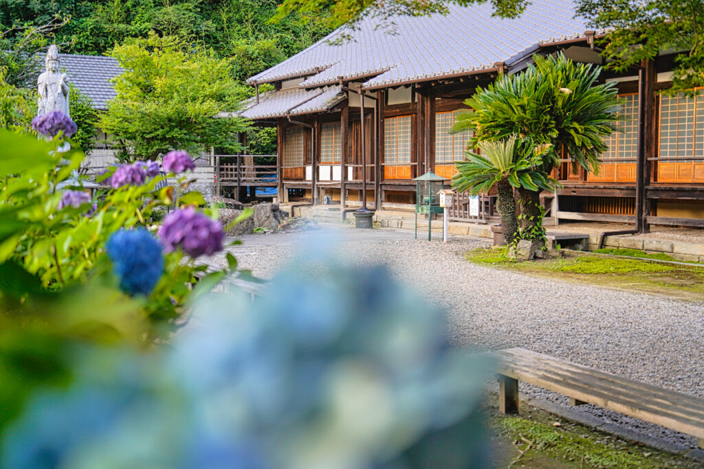 瑞雲山 本光寺 (あじさい寺) 愛知県