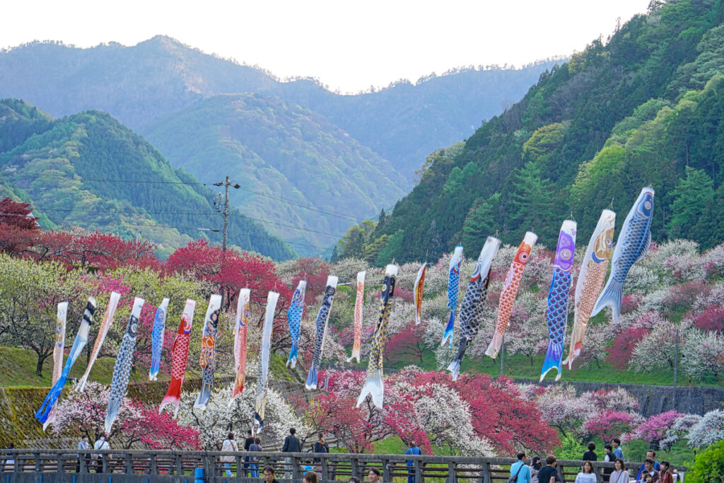 花桃の里・月川温泉郷 長野県