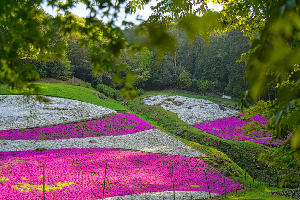 かまぼこ工房 夢鮮館 兵庫県