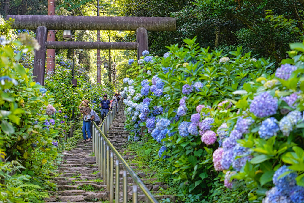 太平山神社 栃木県