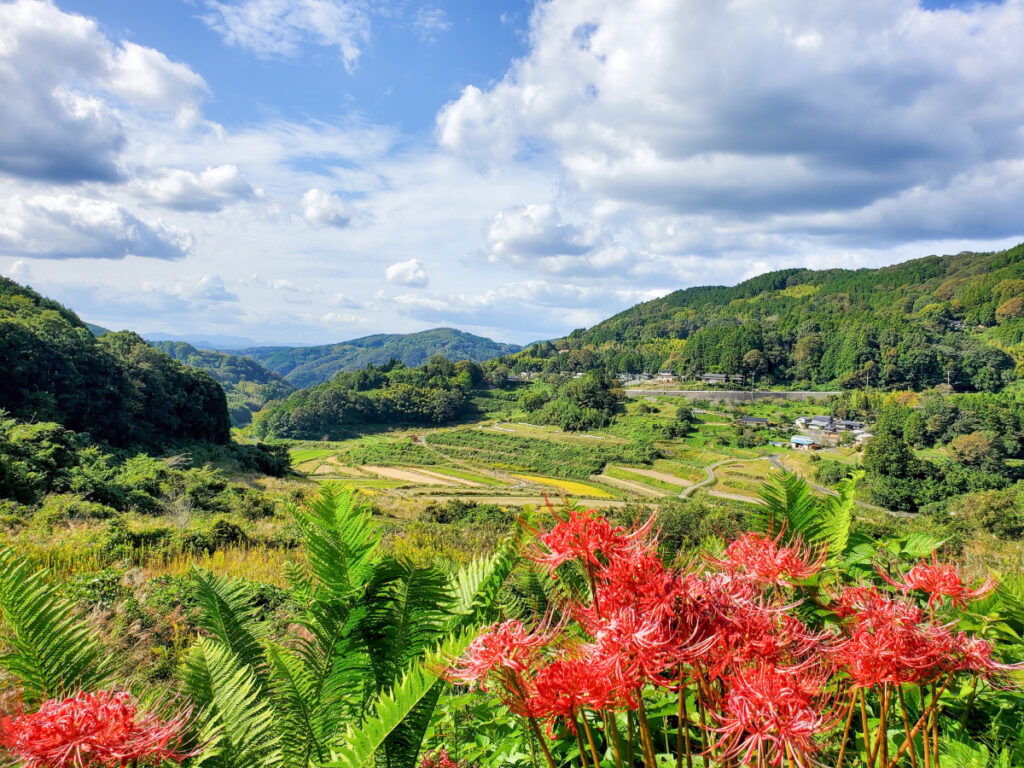 大垪和西の棚田 岡山県