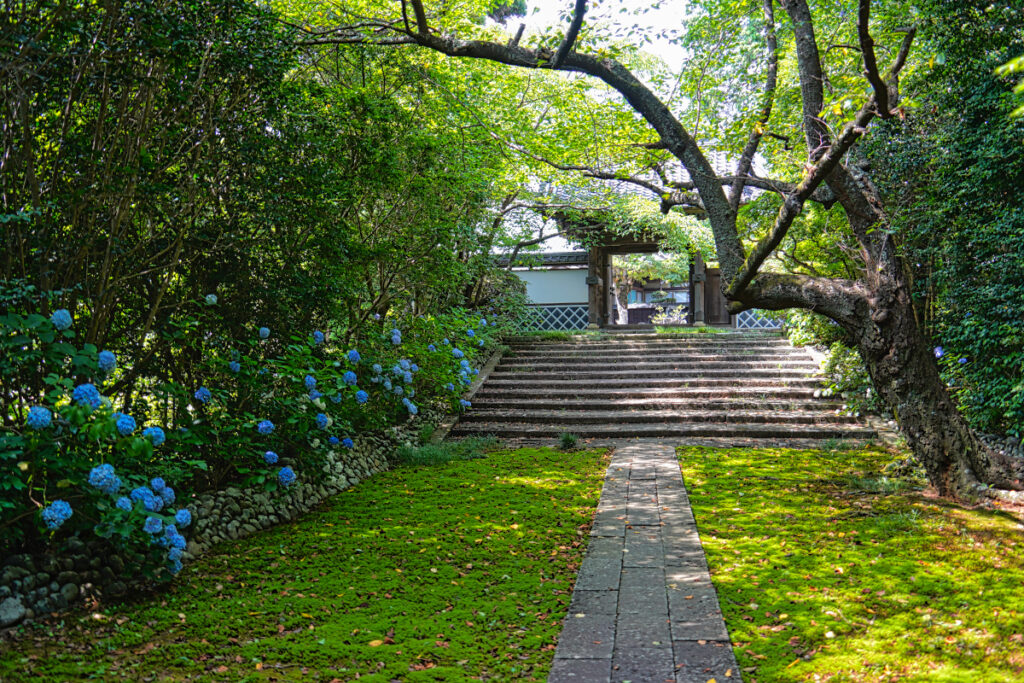 医王寺 静岡県