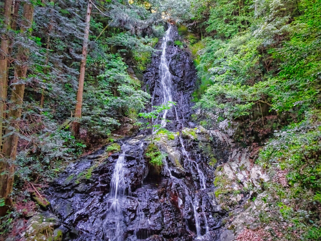 錦鶏の滝 山口県