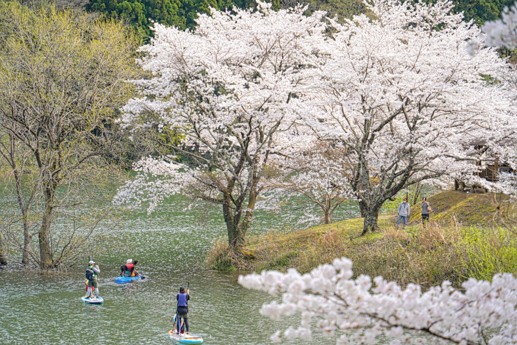 さくらの里公園 三重県