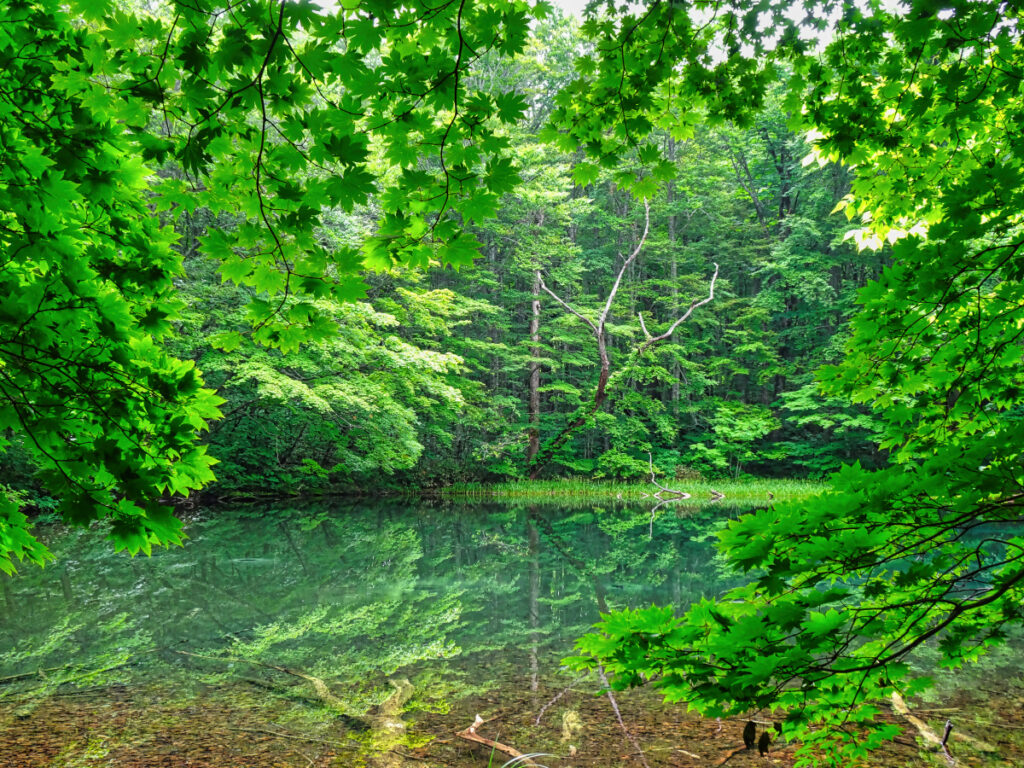 月沼 青森県