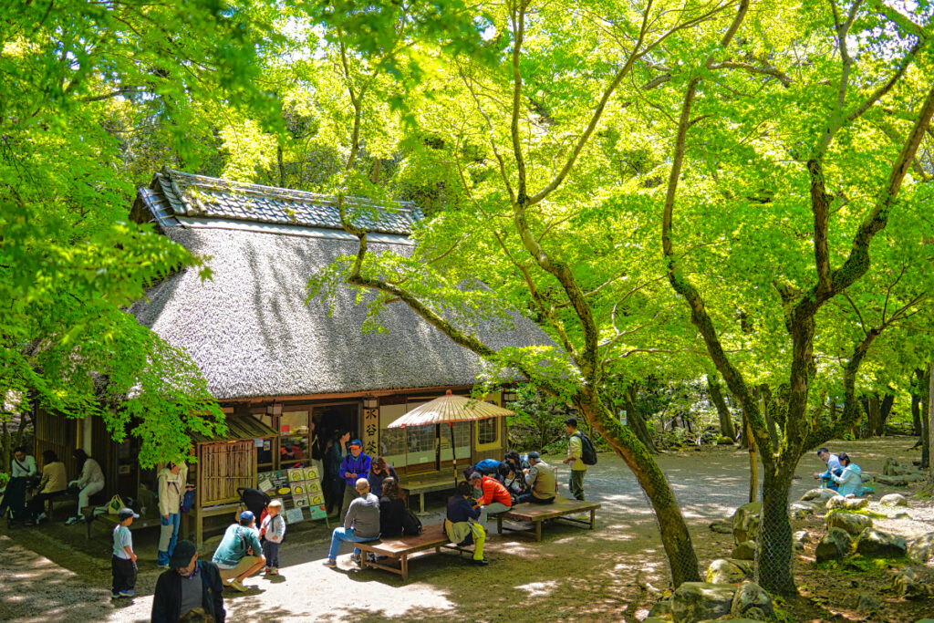 水谷茶屋 奈良県