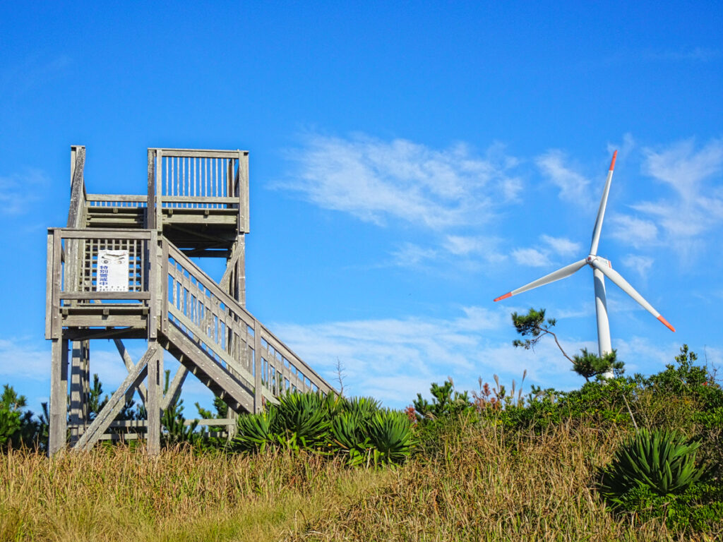 波崎ウィンドファーム 茨城県