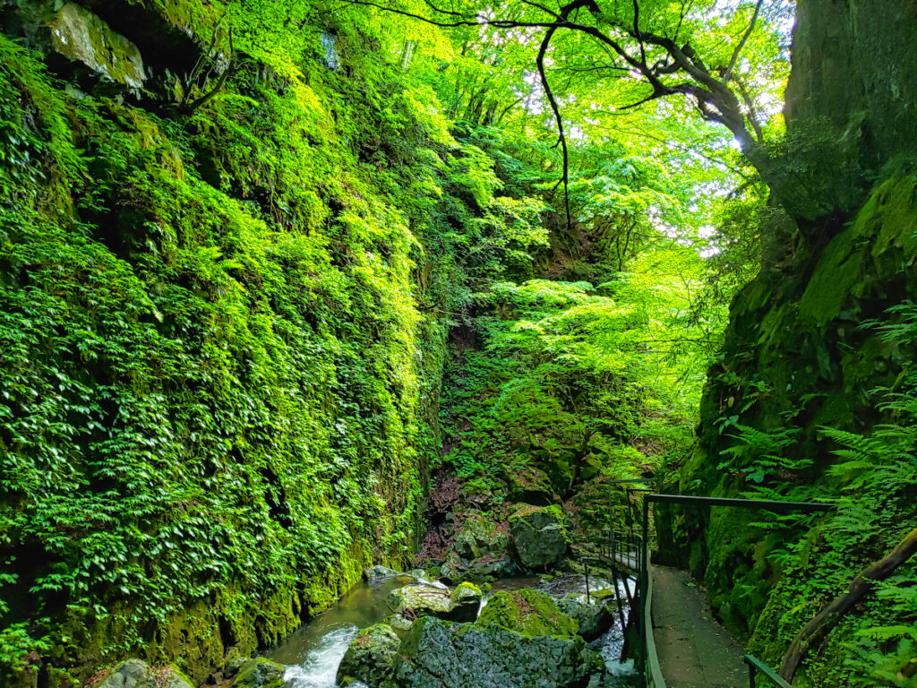 山乗渓谷 岡山県