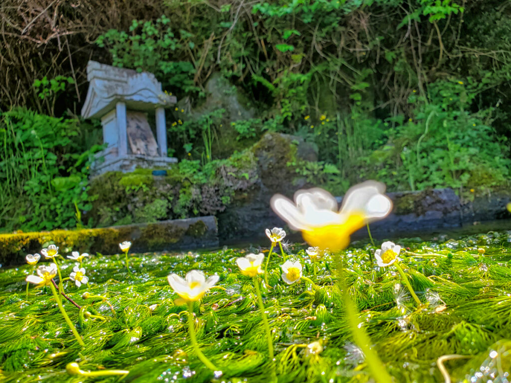 長慶薬師霊命水源 山梨県