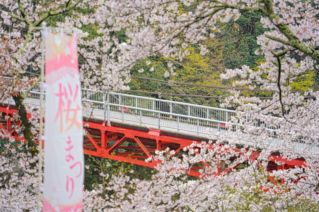桜淵公園 愛知県