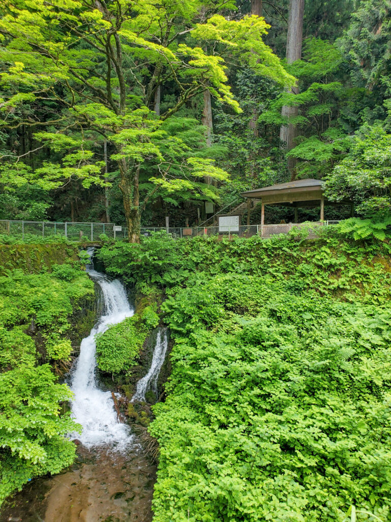 箱島湧水 群馬県