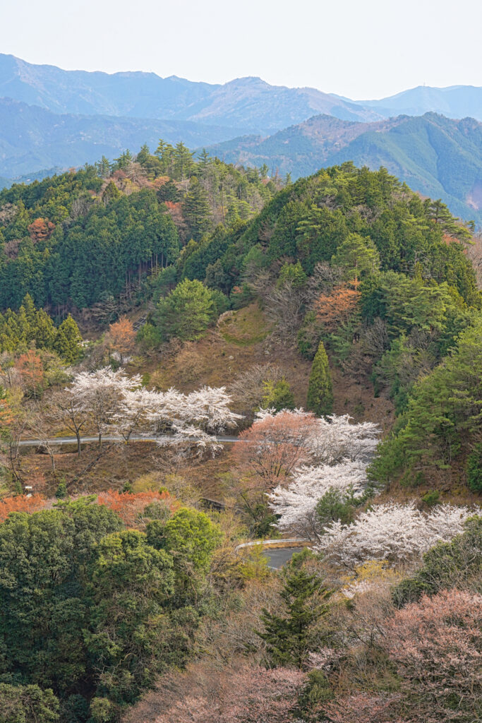 感謝の丘 三重県