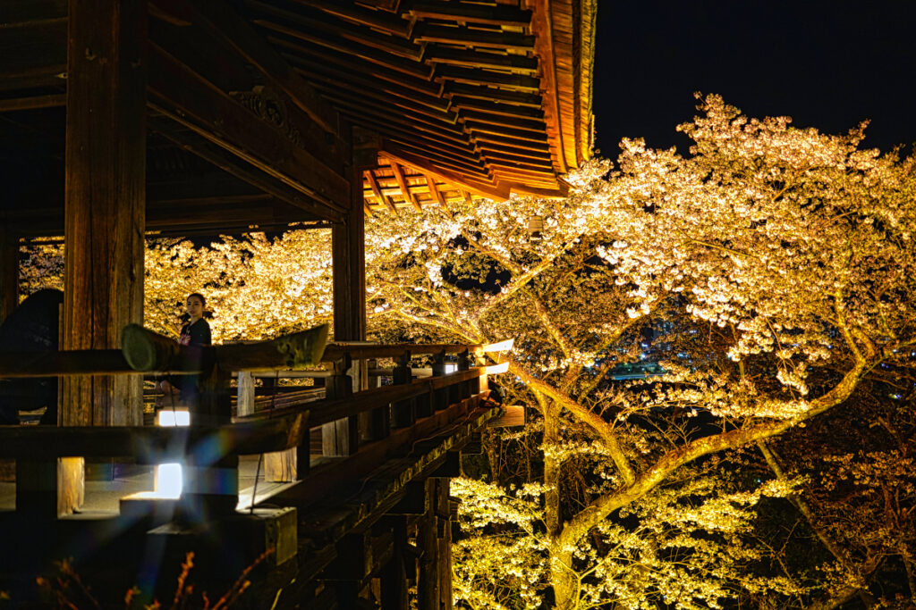 三井寺（園城寺） 滋賀県