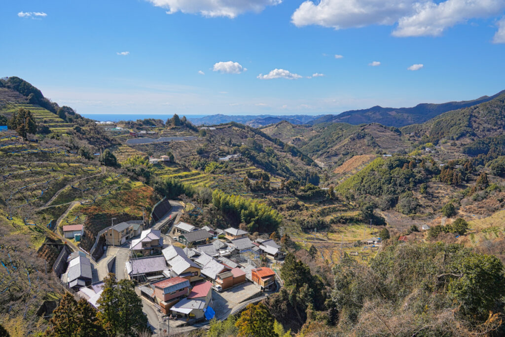 紀州石神田辺梅林 和歌山県