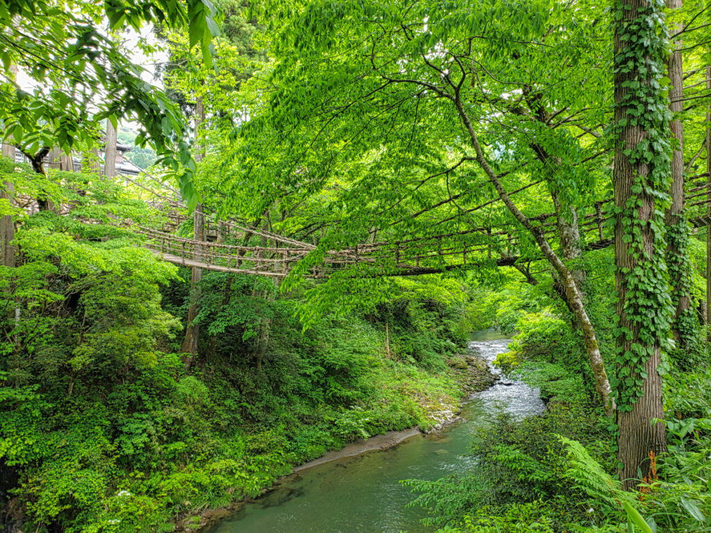 足羽川渓谷 福井県