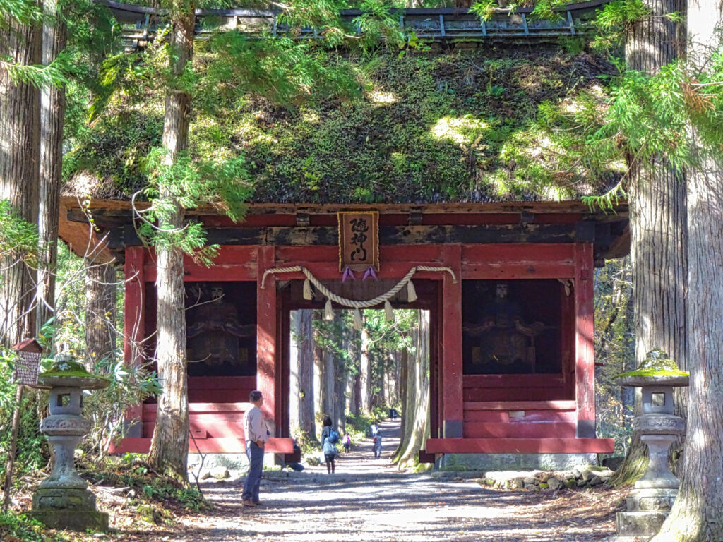 戸隠神社 奥社杉並木 長野県