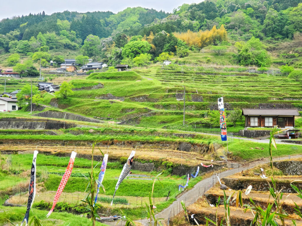 乙大木谷の棚田 兵庫県