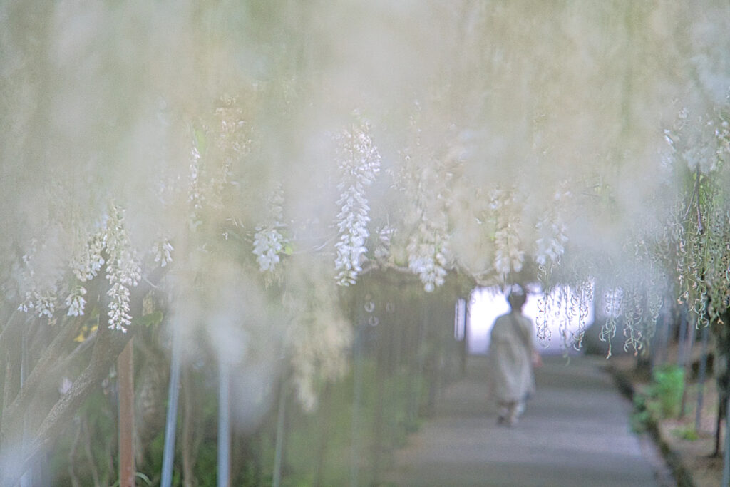 千財農園 大分県