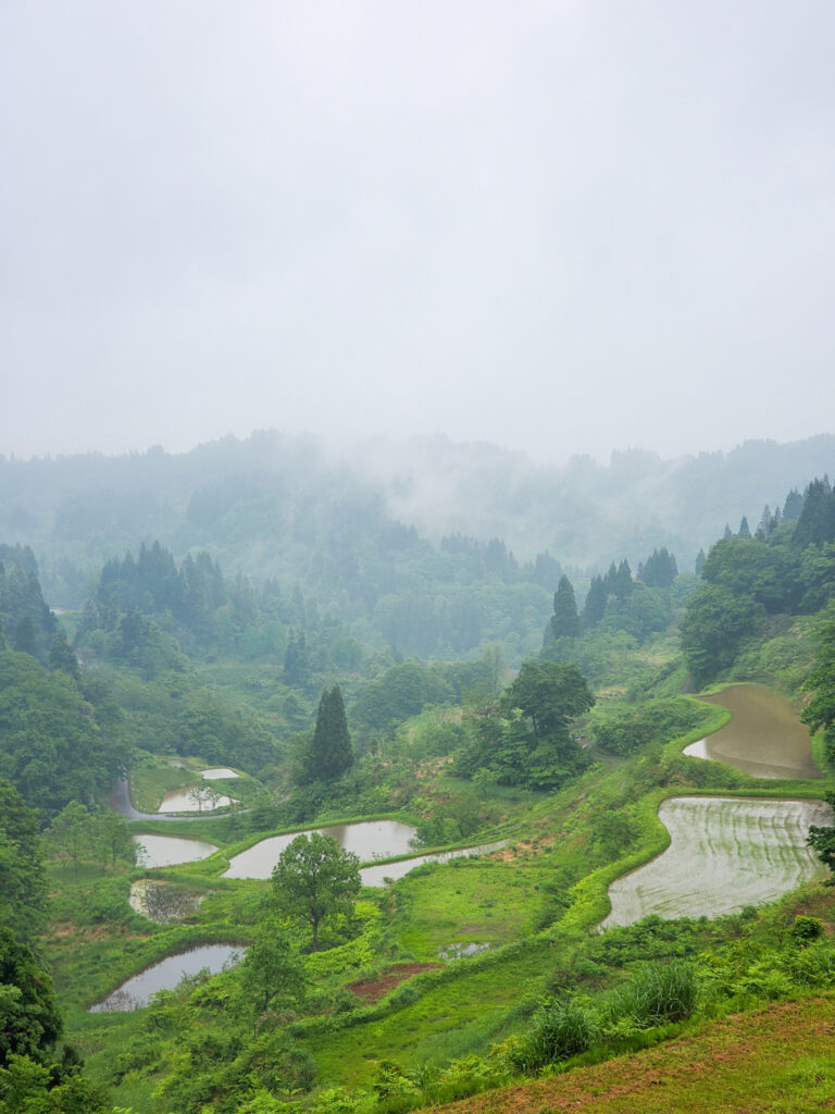 蒲生の棚田 新潟県