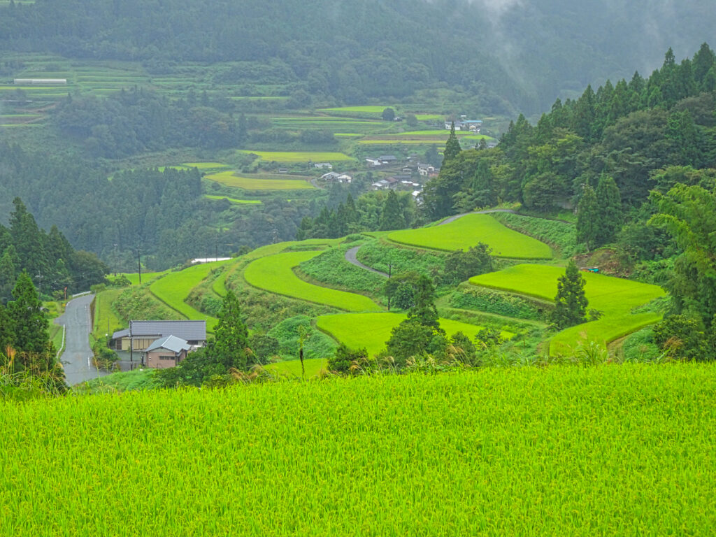 立割棚田 高知県