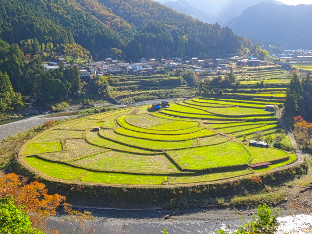 あらぎ島 和歌山県