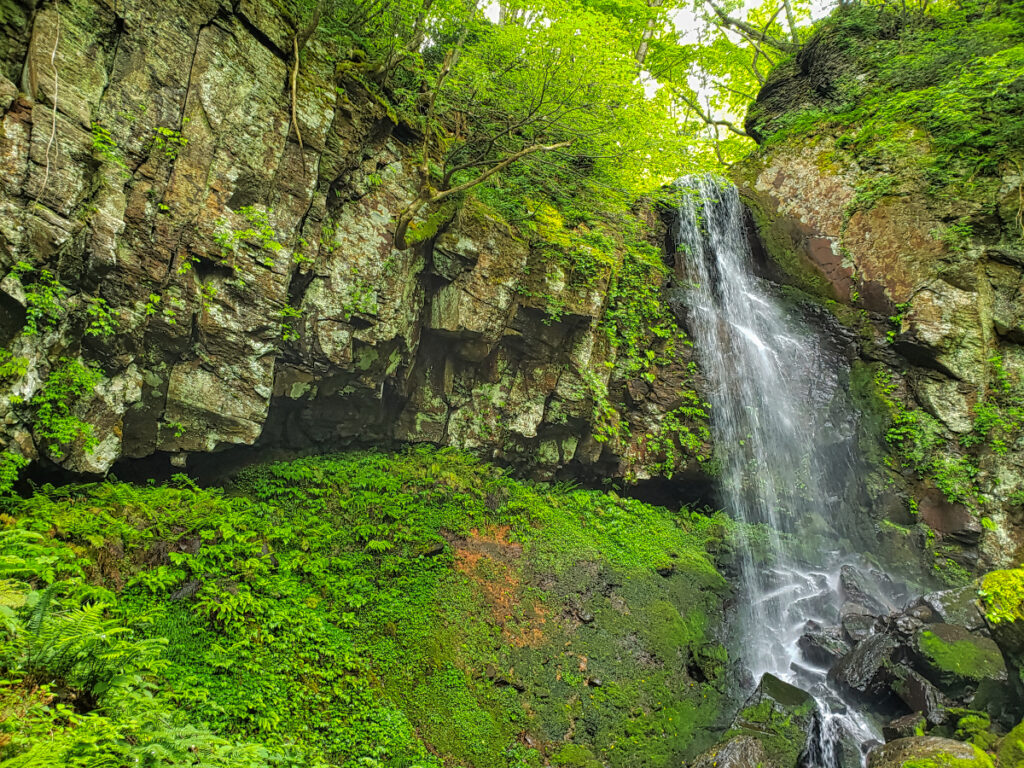 布滝 兵庫県