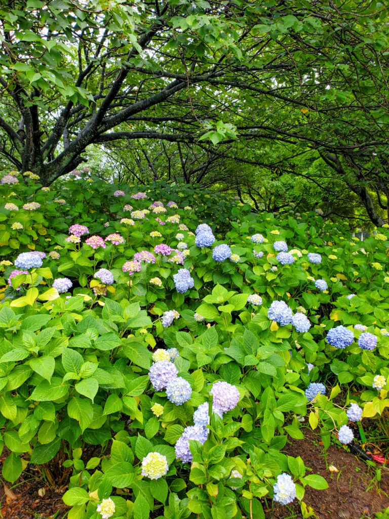 飯盛山公園 山形県