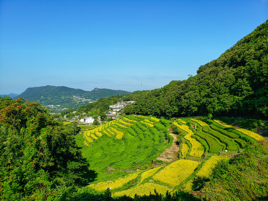 湯舟の湧水と千米田 香川県