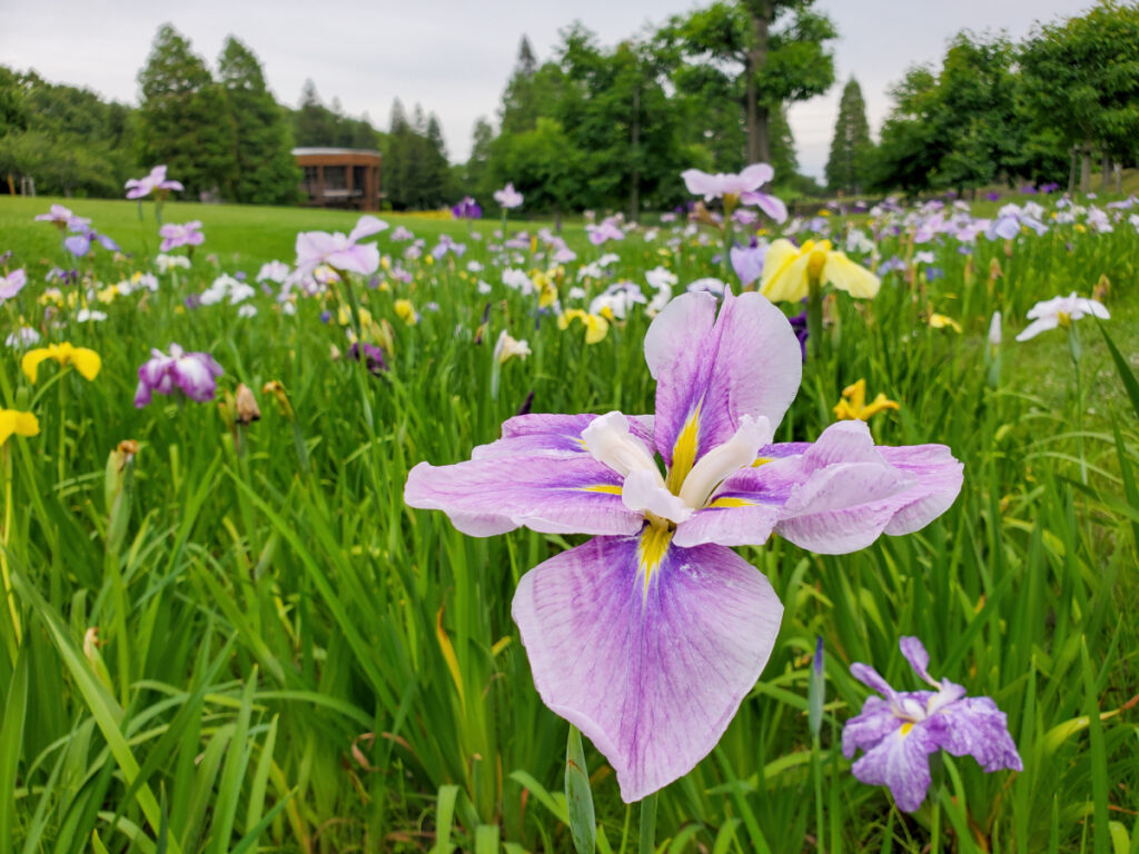 於大公園 愛知県