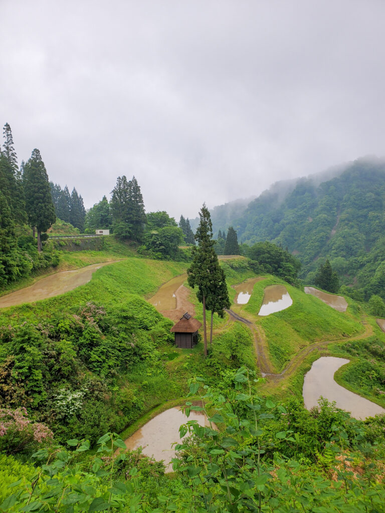 留守原の棚田 新潟県